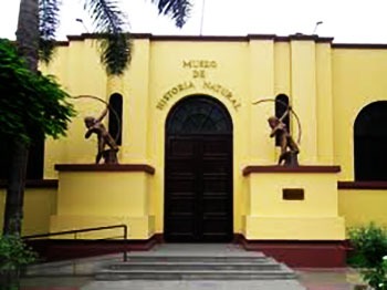 Museo de Historia Natural de la Universidad Nacional Mayor de San Marcos (UNMSM)
