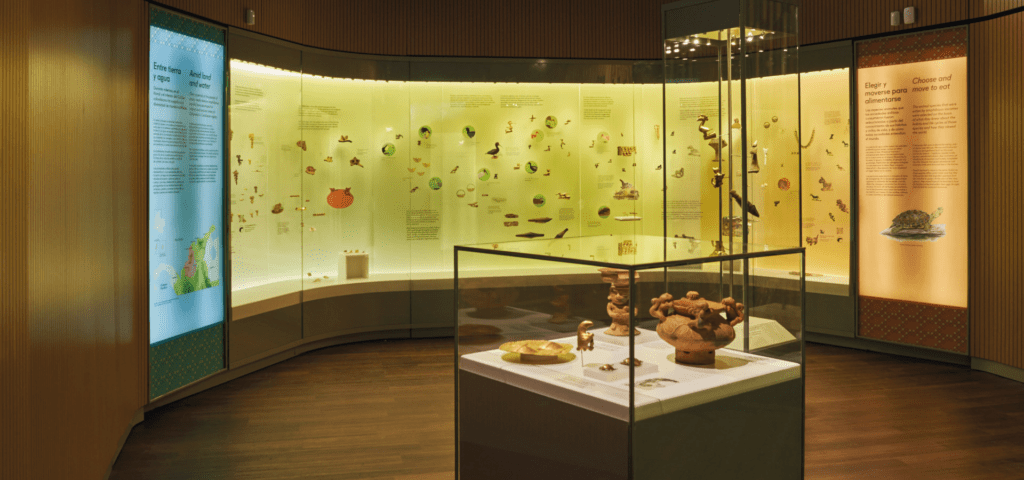 Interior del Museo del Oro Zenú